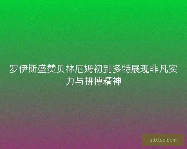 罗伊斯盛赞贝林厄姆初到多特展现非凡实力与拼搏精神