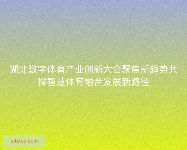 湖北数字体育产业创新大会聚焦新趋势共探智慧体育融合发展新路径