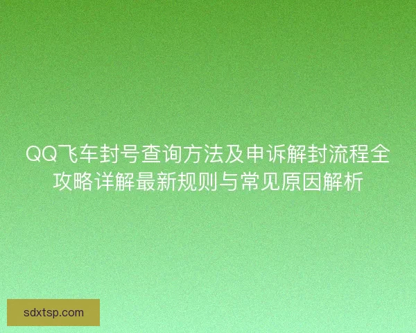 QQ飞车封号查询方法及申诉解封流程全攻略详解最新规则与常见原因解析