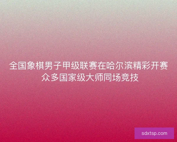 全国象棋男子甲级联赛在哈尔滨精彩开赛 众多国家级大师同场竞技