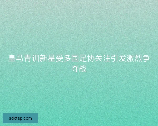 皇马青训新星受多国足协关注引发激烈争夺战 皇马青训新星受多国足协关注引发激烈争夺战